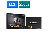 SSD 970 EVO Plus MZ-V7S250B/IT (SSD/M.2 2280/250GB) 【sof001】