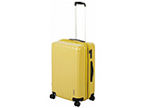 �X�[�c�P�[�X�iTSA���b�NWF�^�C�v�jM  �J�[�L UV-0089 �mTSA���b�N���ځn