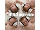 flumpool/experience ʏ yCDz   mflumpool /CDn