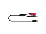 2m USB Type-C �I�[�f�B�I�o�̓P�[�u��   CYR/2.0 �m2.0m�n