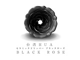 �Z���~�b�N�R�[�q�[�h���b�p�[ HUA BLACK ROSE LG-HUA-DRIPPER