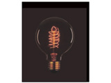 Be[Wv iE26j@110V40W G95 F5 E26