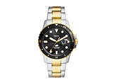 YEHb` FOSSIL  FS6031