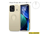 iPhone 17 Pro Max �V���R�����P�[�X �����O�t  �O���[ RM7816-17PM-GL