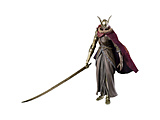 S.H.Figuarts ELDEN RINGiGfOj ~P̐nA}jA