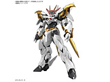 HG Amplified IMGN  ysof001z