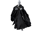 S.H.Figuarts Hf[gin[E|b^[Ɖ̃Subgj