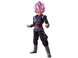 yĔ́zS.H.Figuarts hS{[ SNEubN-X[p[TCl[-