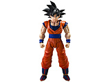 S.H.Figuarts hS{[Z [SDTCl]