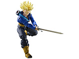 yĔ́zS.H.Figuarts hS{[Z X[p[TClgNX-痈N-