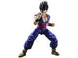 S.H.Figuarts �h���S���{�[���� �X�[�p�[�q�[���[ �A���e�B���b�g��� SUPER HERO�i�Ĕ̔Łj