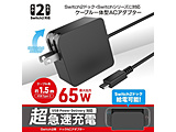 Switch2�p �h�b�NAC�A�_�v�^�[ �y864�z
