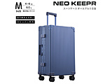 �A���~�X�[�c�P�[�X M�T�C�Y �����a������ �y 60 L �z  �u���[ A60F-2 BL �mTSA���b�N���ځn