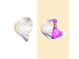 Flow/Duo�Ή� �t�F�C�X�v���[�g ��   fa00032l