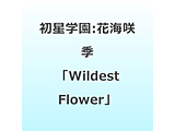 �w���A�C�h���}�X�^�[ �����w�� �ԊC��G�Wildest Flower�