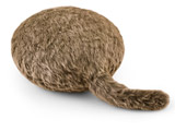 ۂNbV^Zs[{bguQoobovFRENCH BROWN YE-QB001B