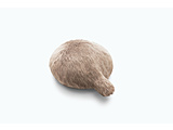 Petit Qoobo v`N[{ Zs[{bg  Marron YEPQ001M