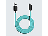 EgJX^ CXp USB-C  USB-AP[u [1.8m]  ~g pw-usb-type-c-paracord-cable-mint