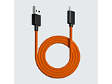 EgJX^ CXp USB-C  USB-AP[u [1.8m]  IW pw-usb-type-c-paracord-cable-orange