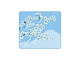 ゲーミングマウスパッド [450ｘ400ｘ4mm] Aqua Control II(XLサイズ) Sakura Blue xr-aqua-control2-sakura-blue-xl