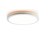 LED�V�[�����O���C�g   NLEH08025C-LC �m8�� /�����F�`�d���F /�����R���t���n
