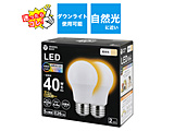 LEDd   LDA4L-G/SK40XOS-2P mE26 /ʓd` /40W /dF /2 /Lz^Cvn
