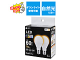 LEDd   LDA6L-G-E17/SK60XOS-2P mE17 /ʓd` /60W /dF /2 /Lz^Cvn