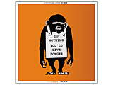 �k�W���i�l Visual Sonic Banksy Edition �o���N�V�[�f�U�C�� BDLD-1907-003