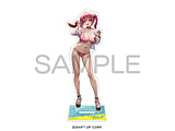 �����̏��_�F NIKKE �A�N�����X�^���h-summer- �}�X�g �ysof001�z
