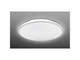 LED�V�[�����O���C�g ����  NLEH10059E-LC �m10�� /�����F�`�d���F /�����R���t���n