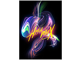 Bfz/ Bfz LIVE-GYM 2022 -Highway X- DVD