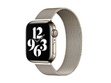 APPLE WATCH 1-10/SE1-2 38/40/41/42（10のみ）MM マグネット式ステンレスバンド  シャンパンゴールド W00315SGA