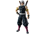 S.H.Figuarts �S�ł̐n �F���V��