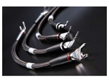 Wp[P[u iYOdl/4{1g/0.2mj Jumperflux-S
