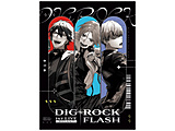 �k���Õi�l DIG-ROCK 1st LIVE -FLASH-