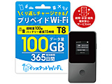 �y�_��s�v�z�y�����؂�z�C���X�^���gWi-Fi �[���Z�b�g T8+100GB 365��(�[�����S�T�[�r�X�t��)