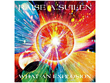 RAISE A SUILEN/ WHAT AN EXPLOSION Blu-ray�t���Y�����