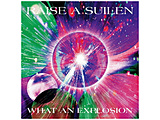 RAISE A SUILEN/ WHAT AN EXPLOSION �ʏ��