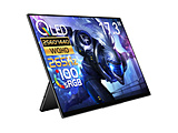 USB-C�ڑ� ���o�C�����j�^�[ R�V���[�Y  RQHG-173NW �m17.3�^ /WQHD(2560×1440�j /���C�h /260Hz�n
