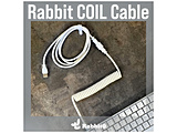 L[{[hP[u [USB-C  USB-A(PC) /1.8`3m] RCP[u  zCg RB_coilc_wh