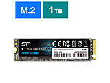 SSD PCI-Expressڑ PCIe Gen3×4 P34A60  SP001TBP34A60M28 m1TB /M.2n