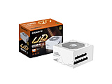 PCd UD850GM PG5 V2 ICE zCg GP-UD850GM PG5 ICE m850W /ATX / /80PLUS Goldn
