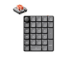 �e���L�[ K0 Max (�É��Ԏ�) RGB���C�g(Mac/Windows�Ή�) �u���b�N/�O���[ K0M-H6 �m�L���E���C�����X /���J�j�J���n