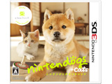 nintendogs + cats āNewtYy3DSQ[\tgz   mjeh[3DSn