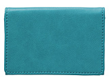 ���h�� 30���p Colorim(�J������) �^�[�R�C�Y�u���[ CRPN2-1-TL