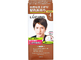 LUCIDO（ルシード） ワンプッシュケアカラー ライトブラウン（医薬部外品）（100g）〔カラーリング剤〕