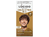 LUCIDO�i���V�[�h�j�f�U�C���w�A�J���[ 1�g  ���_���u���E��