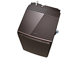 c^󊣑@  {h[uE AW-10VP4(T) m10.0kg /5.0kg /q[^[(E^Cv) /Jn