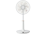 DCrO@  zCg TF-30DL28-W mDC[^[ /Rtn