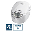 IHW[ъ  sAzCg JPW-Y100WY m5.5 /IHn